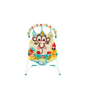 Mastela Newborn to Toddler Baby Rocker - 4aKid