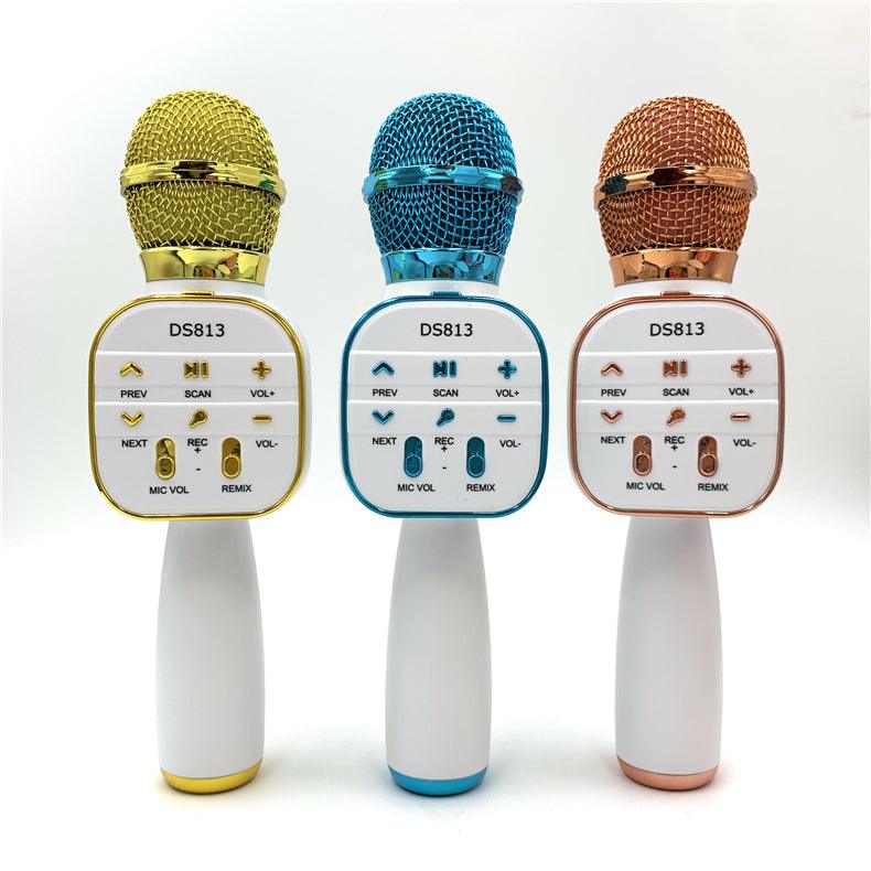 Wireless Microphone HiFi Speaker for Kids (DS813) - 4aKid