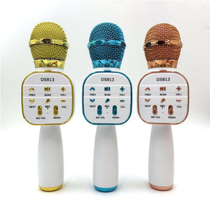 Wireless Microphone HiFi Speaker for Kids (DS813) - 4aKid