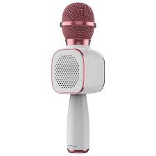 Wireless Microphone HiFi Speaker for Kids (DS813) - 4aKid