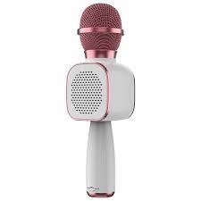 Wireless Microphone HiFi Speaker for Kids (DS813) - 4aKid