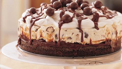 Chocolate Malt Ice-Cream Cake - 4aKid