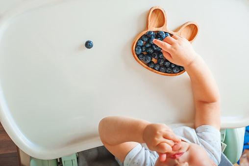 Daily toddler nutrition guide! 🥒🍓🥚🍞🥛 - 4aKid Blog - 4aKid