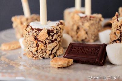 Delicious S’mores Pops - 4aKid