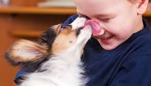 Does Having a Dog Make for Well-Adjusted Kids? - 4aKid Blog - 4aKid