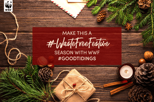Enjoy a #WasteFreeFestive Season with WWF SA's #GoodTidings Advent Calendar - 4aKid
