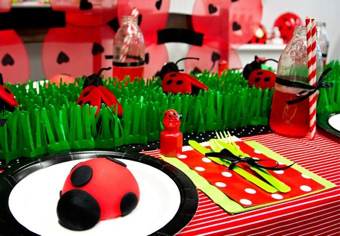 Plan a Ladybug Party - 4aKid