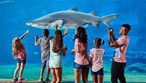 Things to do with your kids in Durban - 4aKid