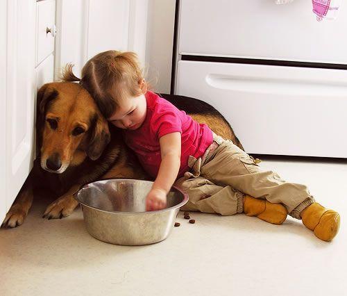 Why Is My Child Eating Dog Food? Exploring the Reasons and Solutions - 4aKid