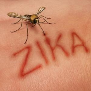 Zika virus fact sheet - 4aKid