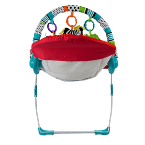 Music & Vibration Baby Bouncer - 4aKid