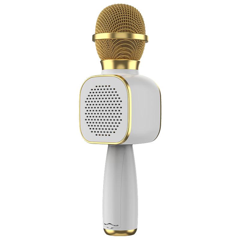 Wireless Microphone HiFi Speaker for Kids (DS813) - 4aKid